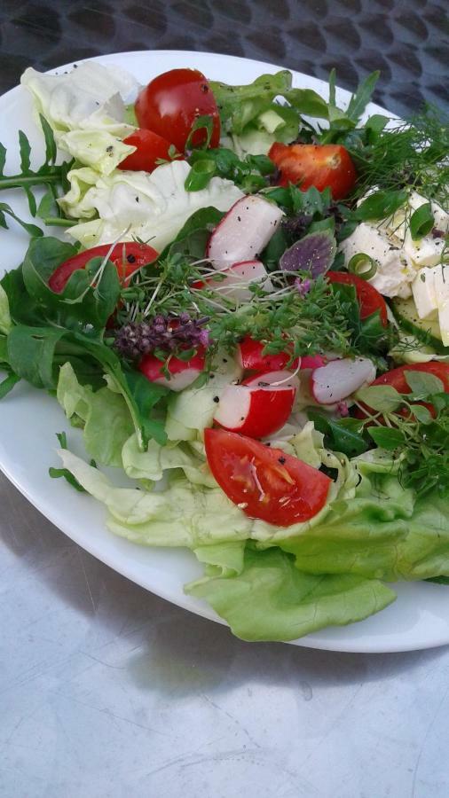 לוקנוואלדה Klassmo Kulturcafe&Gaestehaus Mit Kulturwerkstatt מראה חיצוני תמונה